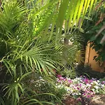 Apartmán Constantaras *