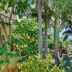 Apartmán Constantaras