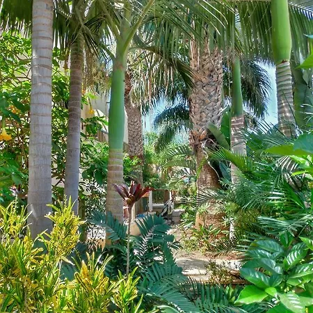 Constantaras Daire Protaras