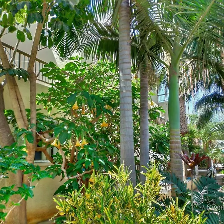 Appartement Constantaras