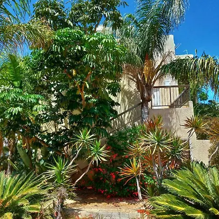 Constantaras Apartamento