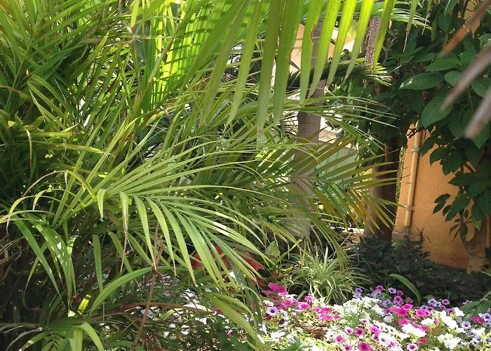 Appartement Constantaras *