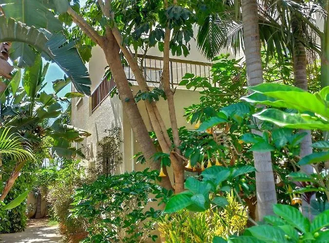 Constantaras Appartement Protaras