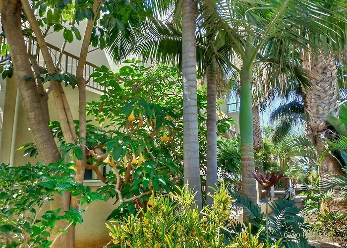 Appartement Constantaras