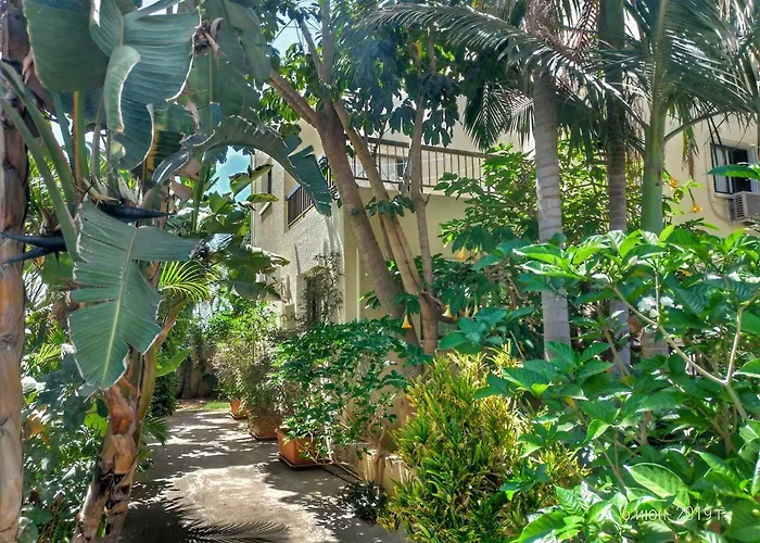 Constantaras Appartement Protaras