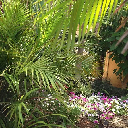 Appartement Constantaras *