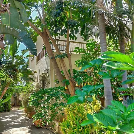Constantaras Appartement Protaras